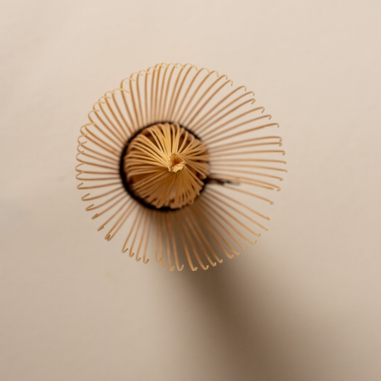 Chasen Artisanal – Fouet à Matcha